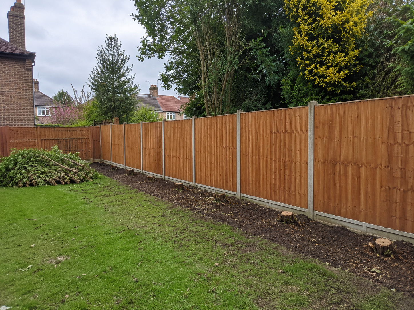 Unwanted hedge removal Bray