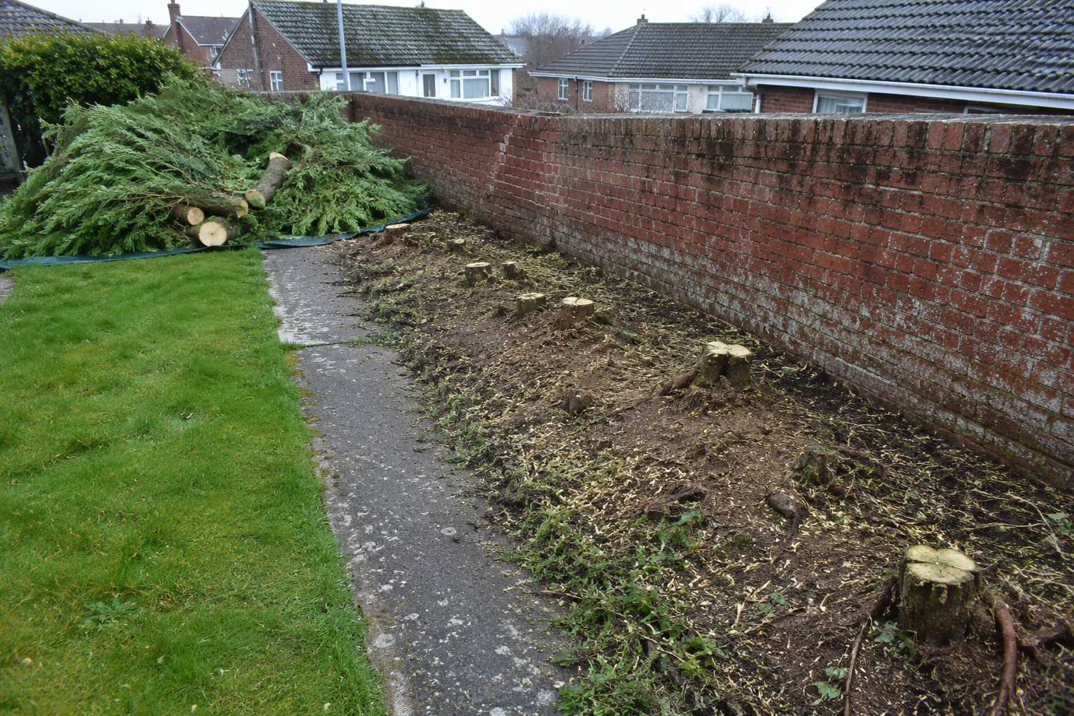 Boundary hedge removal Bray